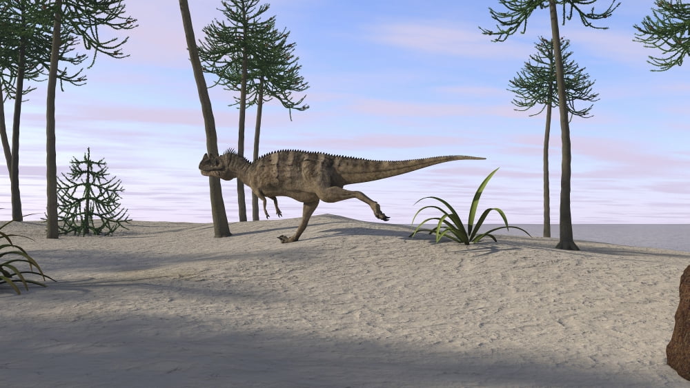 Ceratosaurus hunting for its next meal Canvas Art - Kostyantyn IvanyshenStocktrek Images (19 x 11)