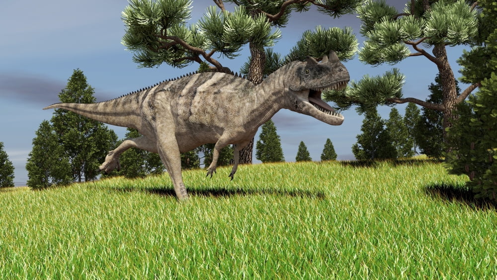 Ceratosaurus hunting for its next meal Canvas Art - Kostyantyn IvanyshenStocktrek Images (19 x 11)