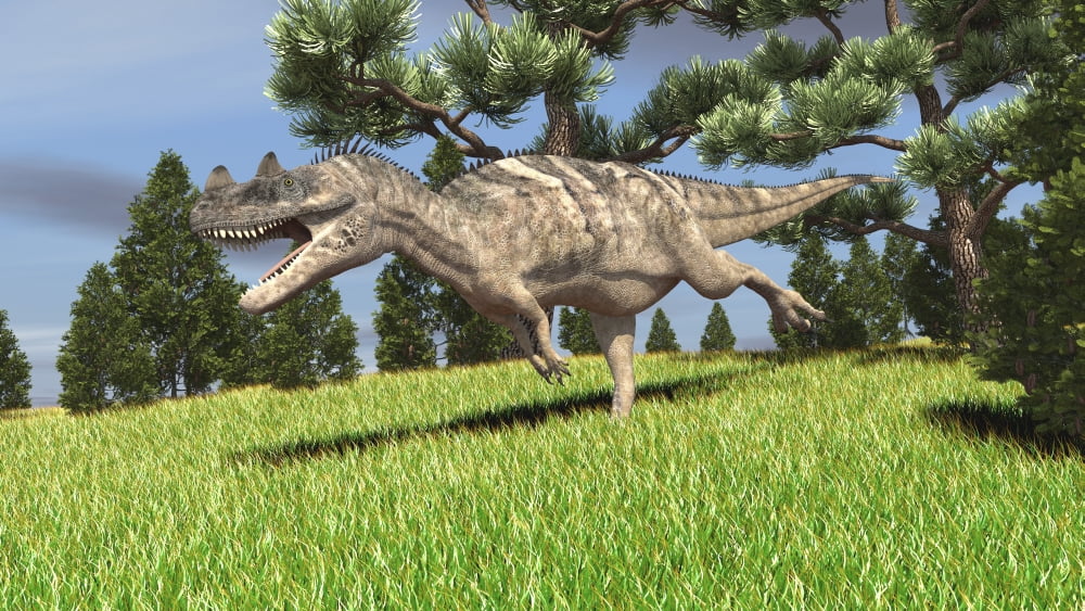 Ceratosaurus hunting for its next meal Canvas Art - Kostyantyn IvanyshenStocktrek Images (38 x 22)