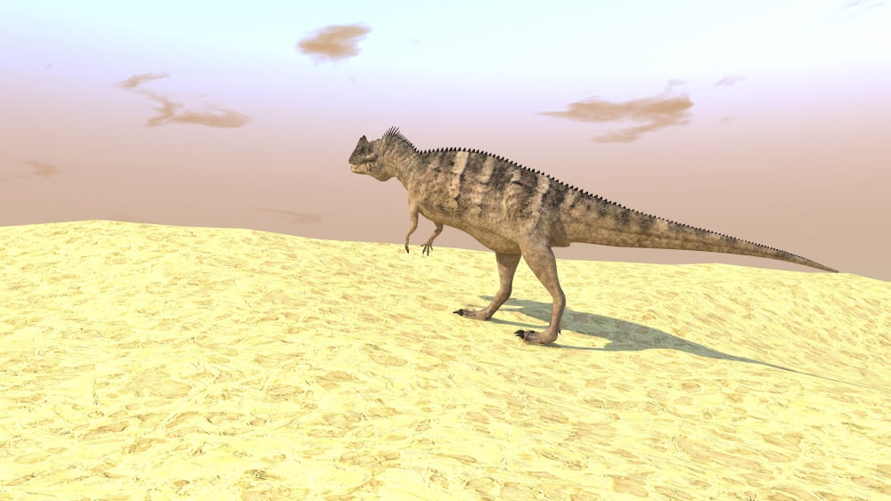 Ceratosaurus hunting in a barren desert Canvas Art - Kostyantyn IvanyshenStocktrek Images (19 x 11)
