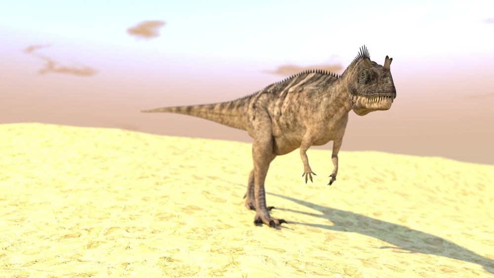 Ceratosaurus hunting in a barren desert Canvas Art - Kostyantyn IvanyshenStocktrek Images (38 x 22)