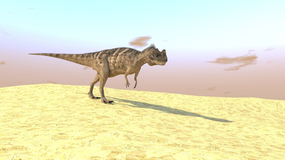 Ceratosaurus hunting in a barren desert Canvas Art - Kostyantyn IvanyshenStocktrek Images (38 x 22)