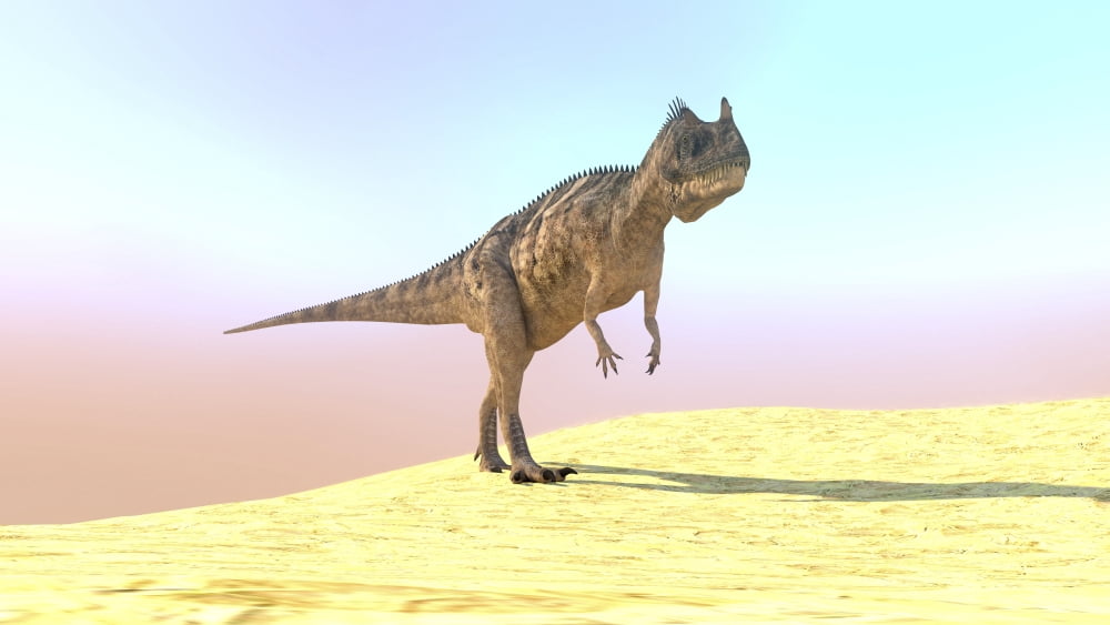 Ceratosaurus hunting in a barren desert Canvas Art - Kostyantyn IvanyshenStocktrek Images (38 x 22)