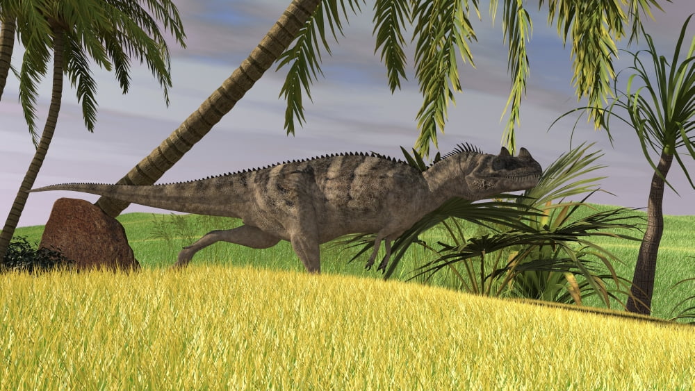 Ceratosaurus hunting in a field Canvas Art - Kostyantyn IvanyshenStocktrek Images (19 x 11)