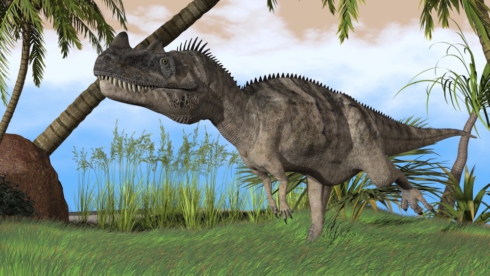 Ceratosaurus hunting in a prehistoric environment Canvas Art - Kostyantyn IvanyshenStocktrek Images (19 x 11)