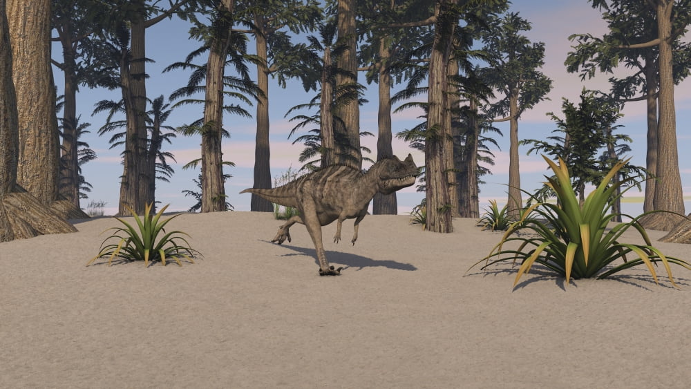Ceratosaurus hunting in a prehistoric environment Canvas Art - Kostyantyn IvanyshenStocktrek Images (19 x 11)