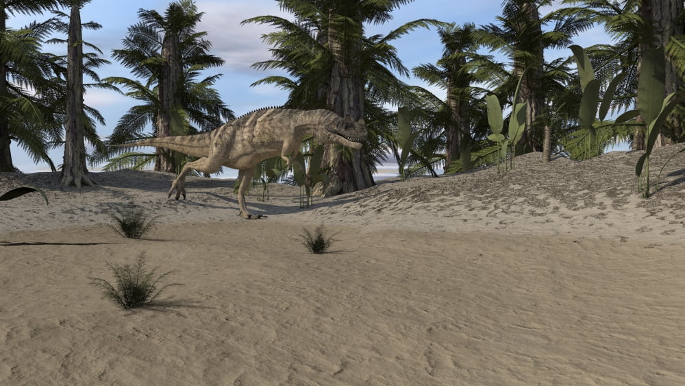 Ceratosaurus hunting in a prehistoric environment Canvas Art - Kostyantyn IvanyshenStocktrek Images (38 x 22)