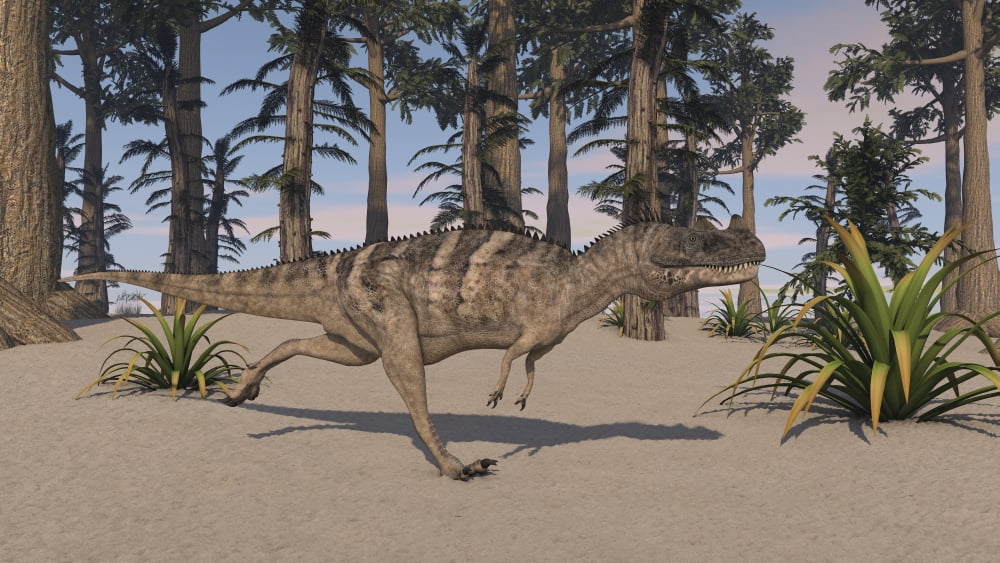 Ceratosaurus hunting in a prehistoric environment Canvas Art - Kostyantyn IvanyshenStocktrek Images (38 x 22)