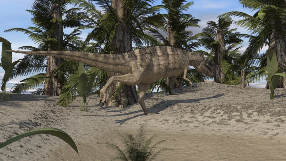 Ceratosaurus hunting in a prehistoric environment Canvas Art - Kostyantyn IvanyshenStocktrek Images (38 x 22)