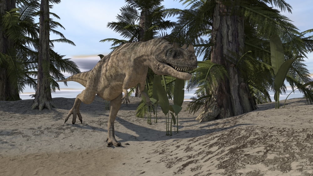Ceratosaurus hunting in a prehistoric environment Canvas Art - Kostyantyn IvanyshenStocktrek Images (38 x 22)
