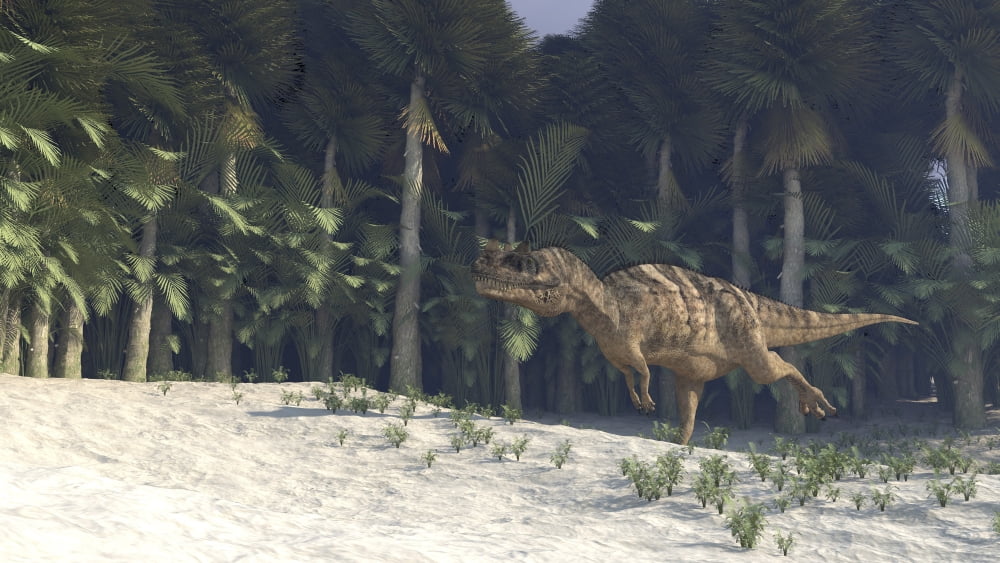 Ceratosaurus hunting in a prehistoric environment Canvas Art - Kostyantyn IvanyshenStocktrek Images (38 x 22)