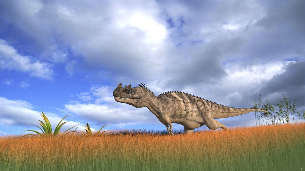 Ceratosaurus hunting in prehistoric grasslands Canvas Art - Kostyantyn IvanyshenStocktrek Images (19 x 11)