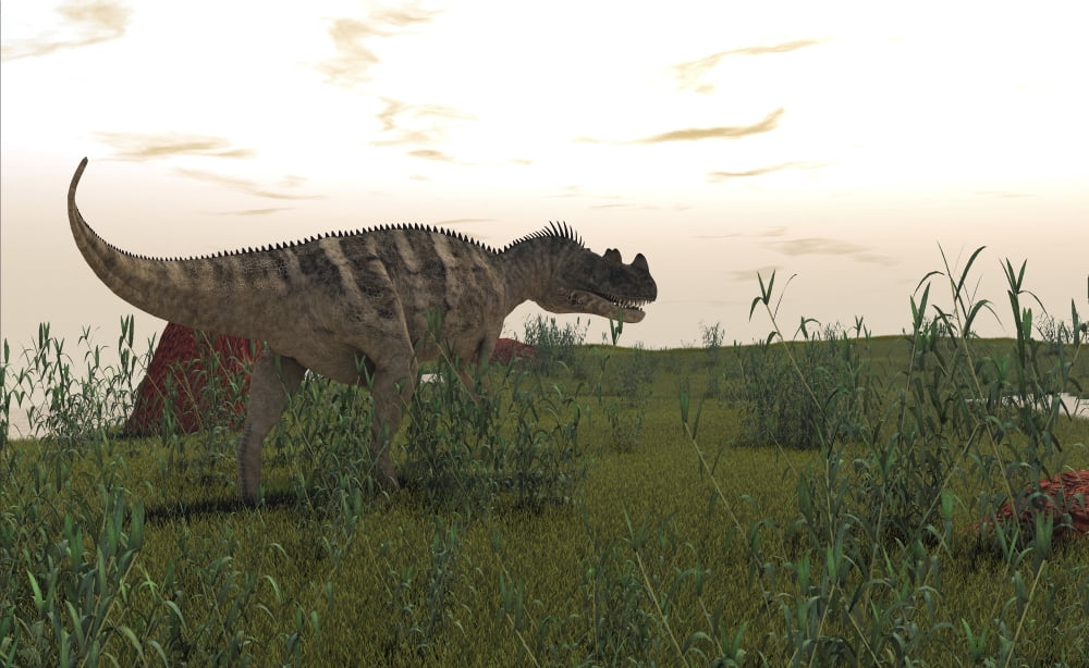 Ceratosaurus hunting in prehistoric grasslands Canvas Art - Kostyantyn IvanyshenStocktrek Images (36 x 22)