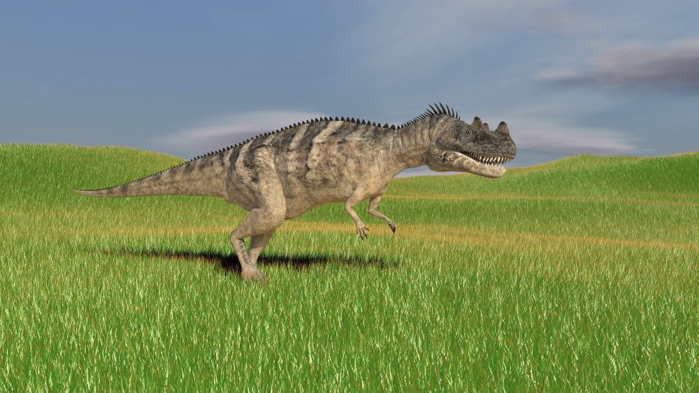 Ceratosaurus hunting in prehistoric grasslands Canvas Art - Kostyantyn IvanyshenStocktrek Images (38 x 22)