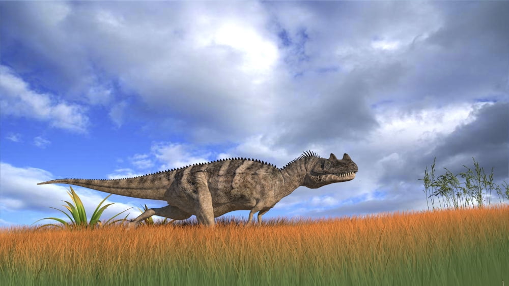 Ceratosaurus hunting in prehistoric grasslands Canvas Art - Kostyantyn IvanyshenStocktrek Images (38 x 22)