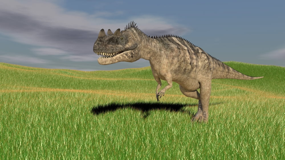 Ceratosaurus hunting in prehistoric grasslands Canvas Art - Kostyantyn IvanyshenStocktrek Images (38 x 22)