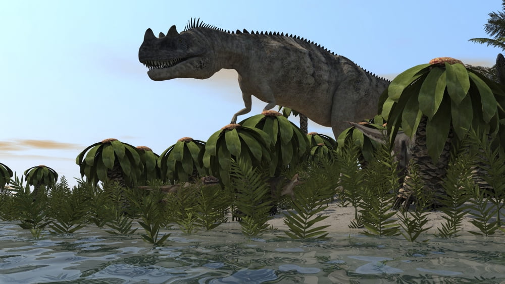 Ceratosaurus hunting in prehistoric wetlands Canvas Art - Kostyantyn IvanyshenStocktrek Images (19 x 11)