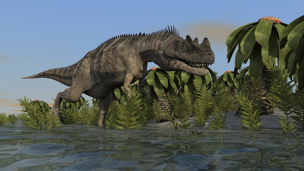 Ceratosaurus hunting in prehistoric wetlands Canvas Art - Kostyantyn IvanyshenStocktrek Images (38 x 22)