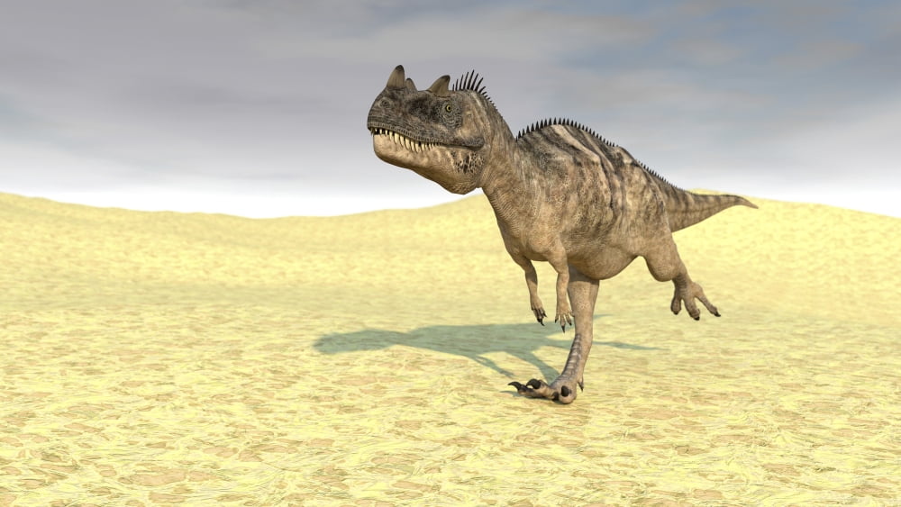 Ceratosaurus running across a barren desert Canvas Art - Kostyantyn IvanyshenStocktrek Images (38 x 22)