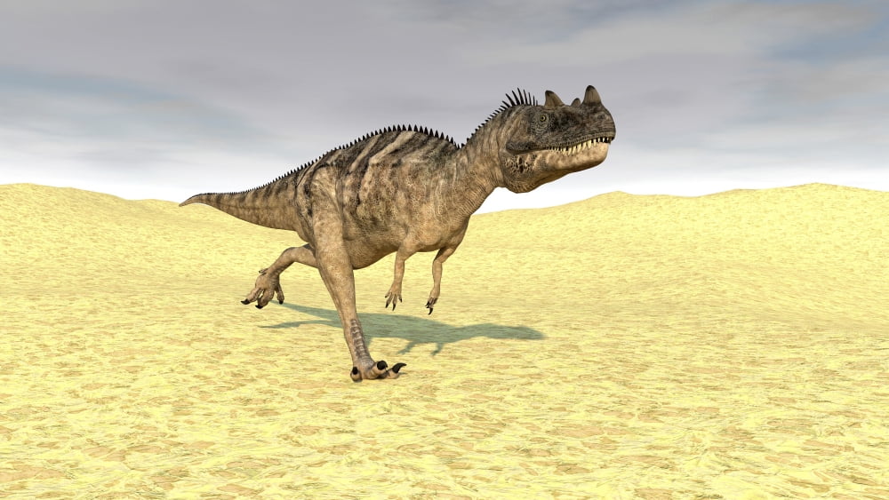 Ceratosaurus running across a barren desert Canvas Art - Kostyantyn IvanyshenStocktrek Images (38 x 22)