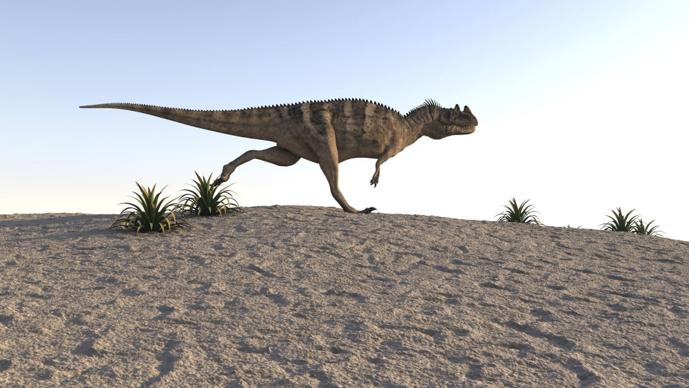 Ceratosaurus running across a barren landscape Canvas Art - Kostyantyn IvanyshenStocktrek Images (19 x 11)