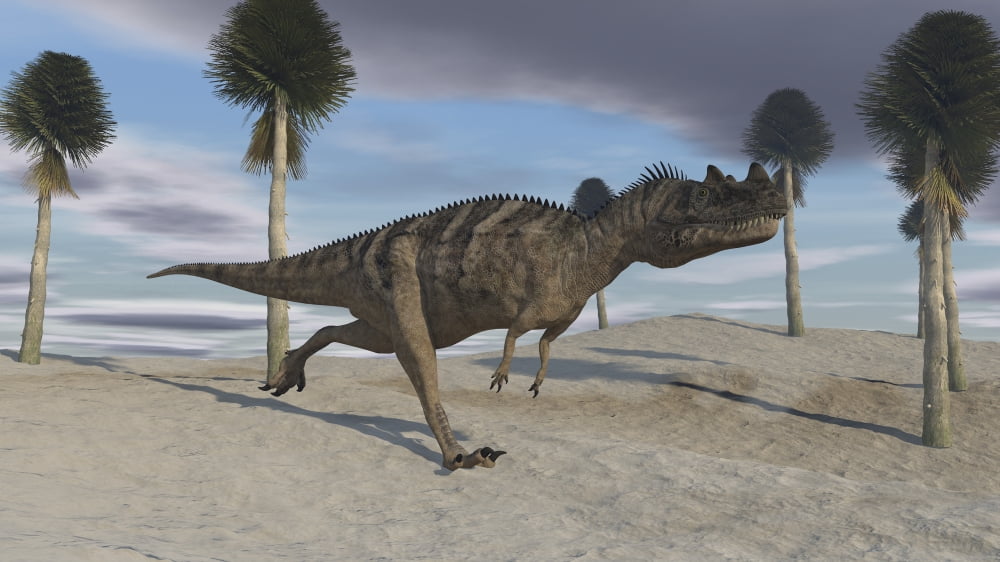 Ceratosaurus running across a barren landscape Canvas Art - Kostyantyn IvanyshenStocktrek Images (38 x 22)