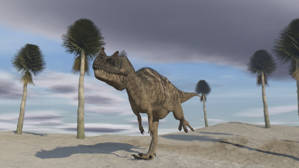 Ceratosaurus running across a barren landscape Canvas Art - Kostyantyn IvanyshenStocktrek Images (38 x 22)
