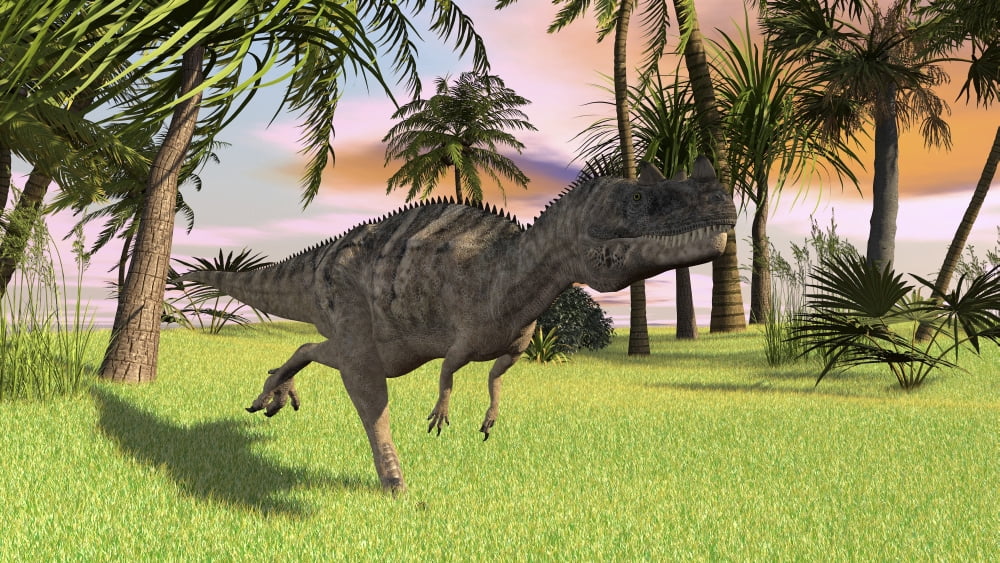 Ceratosaurus running across a field Canvas Art - Kostyantyn IvanyshenStocktrek Images (19 x 11)