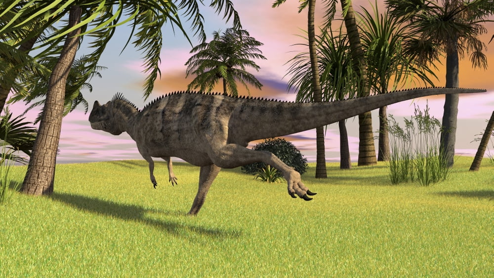Ceratosaurus running across a field Canvas Art - Kostyantyn IvanyshenStocktrek Images (19 x 11)