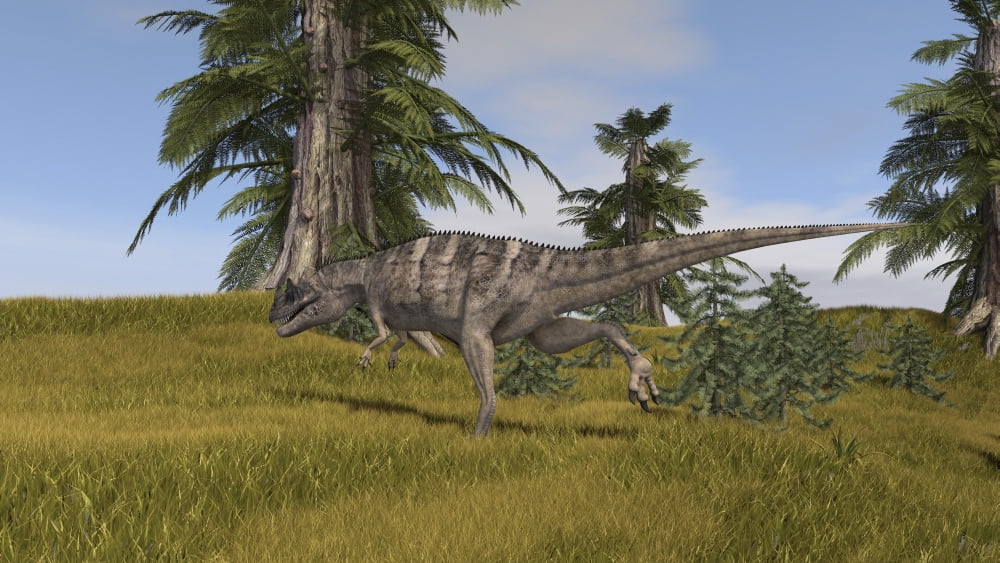 Ceratosaurus running across a grassy field Canvas Art - Kostyantyn IvanyshenStocktrek Images (19 x 11)