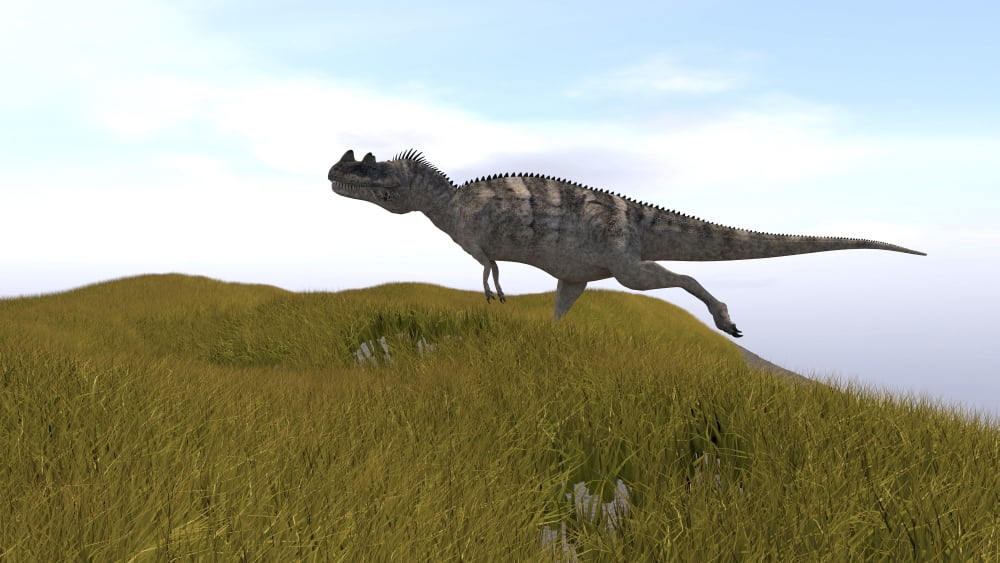 Ceratosaurus running across a grassy field Canvas Art - Kostyantyn IvanyshenStocktrek Images (38 x 22)