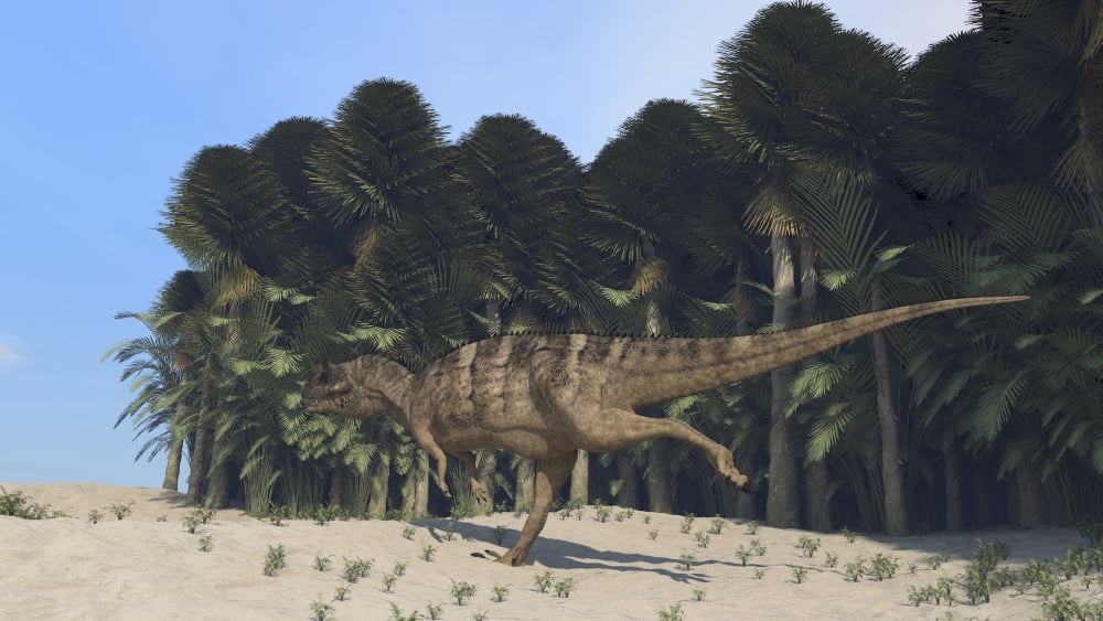 Ceratosaurus running across a prehistoric landscape Canvas Art - Kostyantyn IvanyshenStocktrek Images (19 x 11)