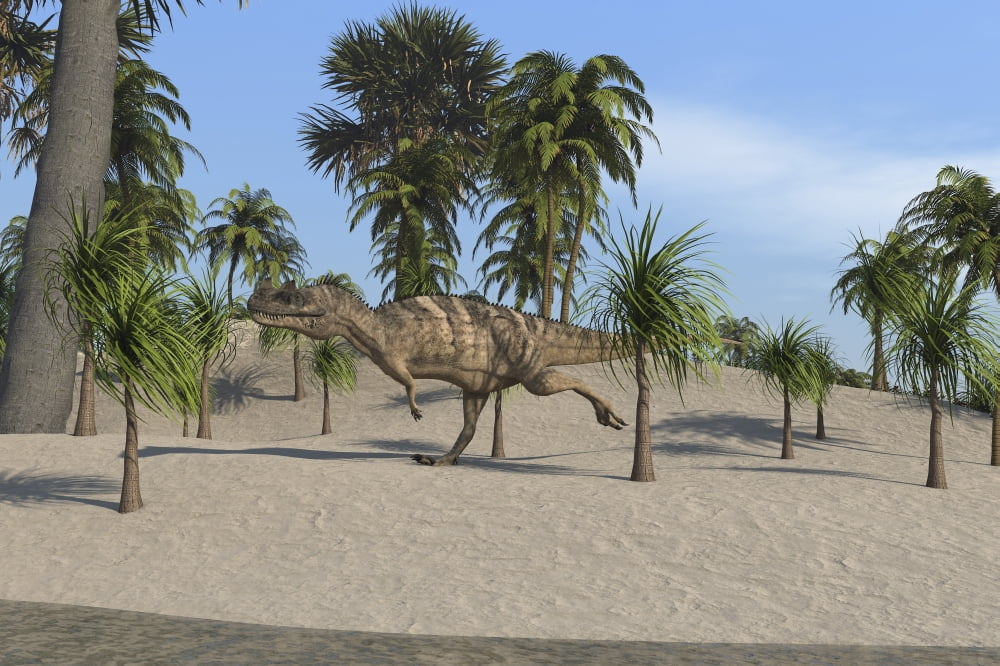 Ceratosaurus running across a tropical landscape Canvas Art - Kostyantyn IvanyshenStocktrek Images (18 x 12)