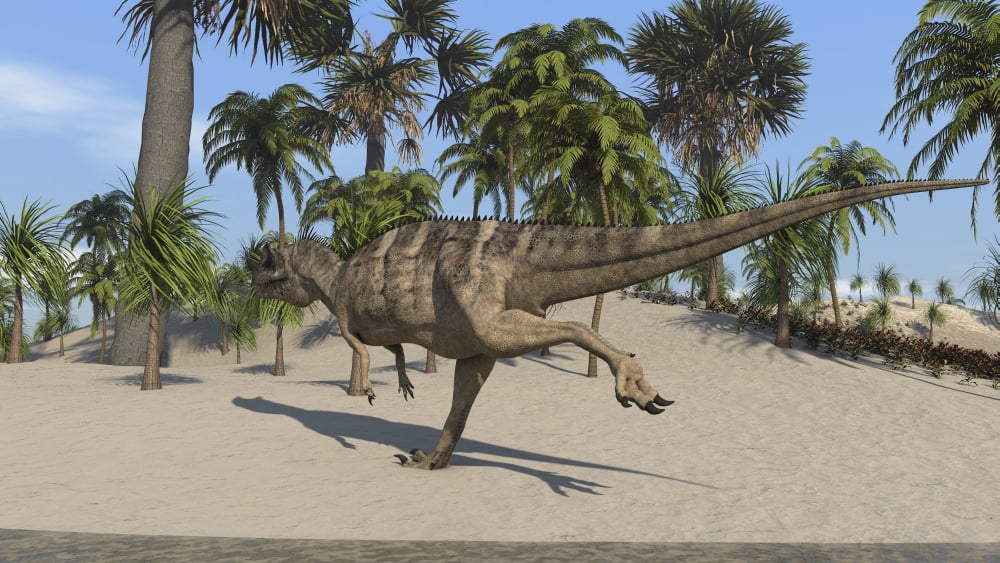 Ceratosaurus running across a tropical landscape Canvas Art - Kostyantyn IvanyshenStocktrek Images (38 x 22)