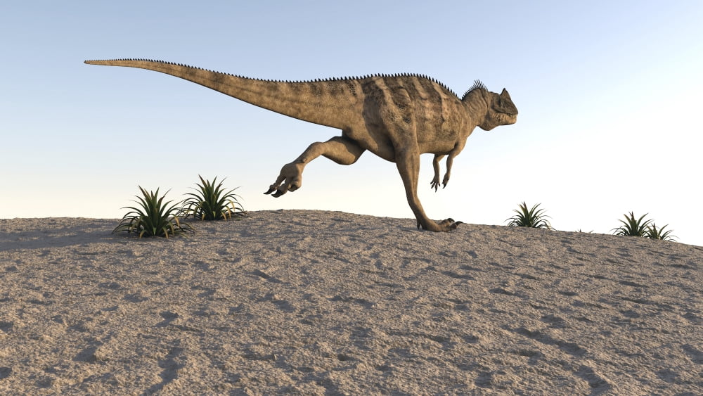 Ceratosaurus running across barren terrain Canvas Art - Kostyantyn IvanyshenStocktrek Images (38 x 22)