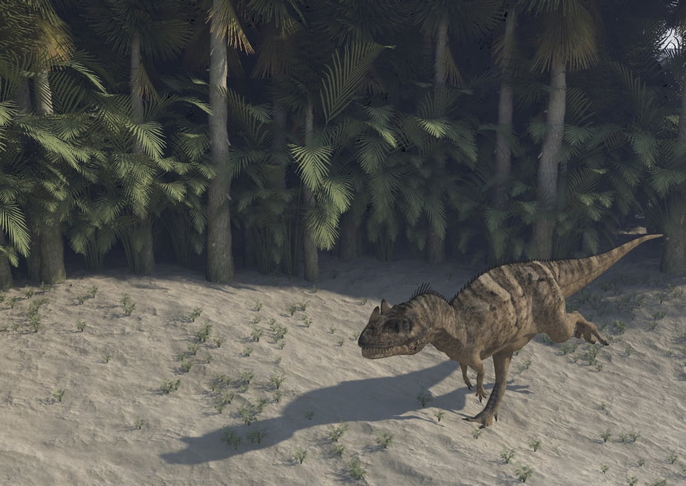 Ceratosaurus running across prehistoric landscape Canvas Art - Kostyantyn IvanyshenStocktrek Images (17 x 12)