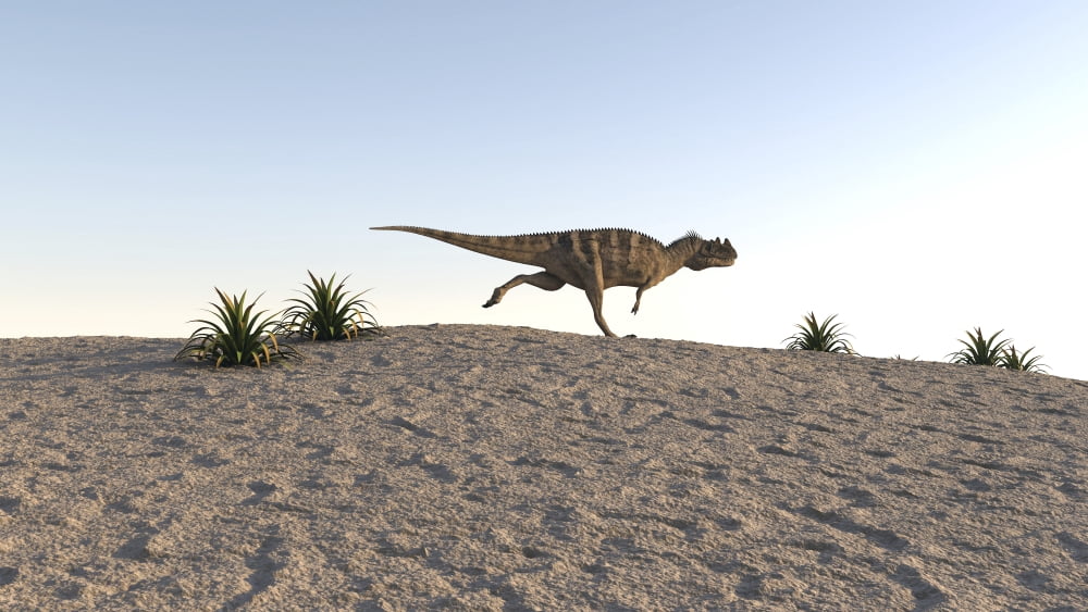 Ceratosaurus running across sandy terrain Canvas Art - Kostyantyn IvanyshenStocktrek Images (19 x 11)