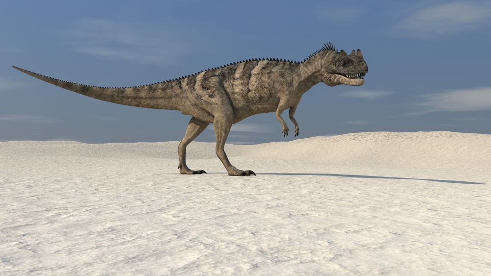 Ceratosaurus walking across a barren landscape Canvas Art - Kostyantyn IvanyshenStocktrek Images (38 x 22)