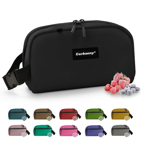 Cerbonny Mini Freezable Lunch Bag, 9"X5"X4" Small Insulated Cooler Box with Ice Pack and Handle Buckle for Work School Travel