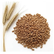 Cereal Rye Grain Seeds Open Pollinated Cover Crop Forage Deer Plot Food 15 Pounds