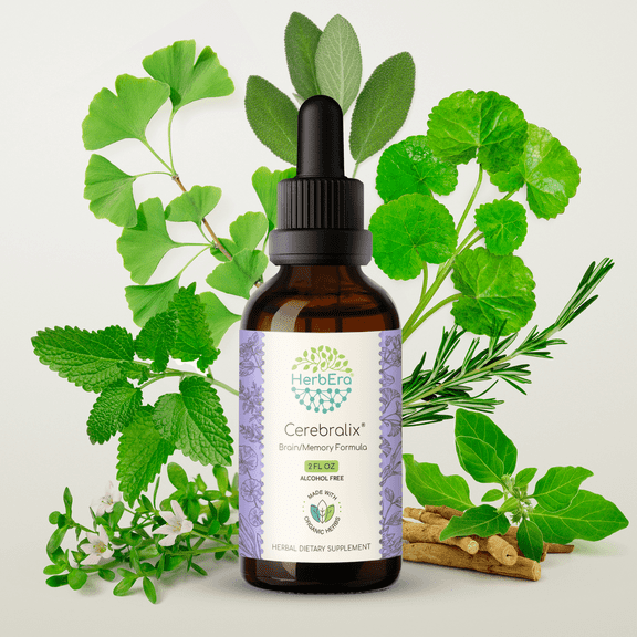 HerbEra Cerebralix Extract, Dietary Supplement Herbal Formula, Made from Gotu Kola Herb,Ginkgo Biloba Leaf, Rosemary Leaf, Sage Leaf, Brahmi Herb, Ashwagandha Root, Lemon Balm Leaf 2 oz