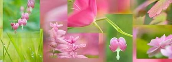 Cerise Pink Green Collage Canvas Art - Cora Niele (24 x 48)