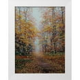 thumbnail image 1 of Cernov, Ivan 19x24 White Modern Wood Framed Museum Art Print Titled - Autumn Romance, 1 of 4