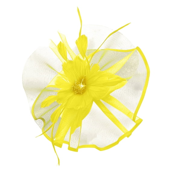 Certgust Hot Sales Head Scarf for Women 's Hair Under$10 Fascinators Hat Women Tea Party Headband Flower Cocktail Mesh Hair Clip Kentucky Derby Hat Wedding
