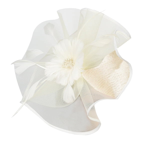 Certgust Head Scarf for Women 's Hair Under$10 Fascinators Hat Women Tea Party Headband Flower Cocktail Mesh Hair Clip Kentucky Derby Hat Wedding