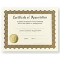 thumbnail image 1 of Certificate Of Appreciation - With Fill-In-The-Blank Lines - 8 1/2in. x 11in. - 6/Pack - 4 Packs (total of 24 Certificates) (930000), 1 of 1