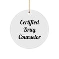 thumbnail image 1 of Certified Drug Counselor Christmas Unique Gift from Friends, 'You're the Real MVP' Circle Ornament, Drug Counselor Gifts, Gifts from Women, Gifts for Drug Counselor, 1 of 4
