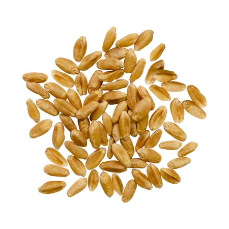 Certified Glyphosate Residue Free Hard Red Spring Wheat Berries | 18 LBS | Non-GMO Project Verified | Kosher