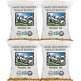 thumbnail image 1 of Hard Red Winter Wheat Berries | 100 LBS | Desiccant Free | Sproutable | Non-GMO Project Verified | Kosher, 1 of 8