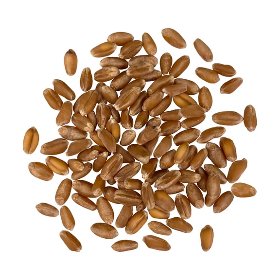Certified Glyphosate Residue Free Hard Red Winter Wheat Berries | 18 LBS | Family Farmed in Washington State | Non-GMO Project Verified | 100% Non-Irradiated | Certified Kosher Parve | Field Traced